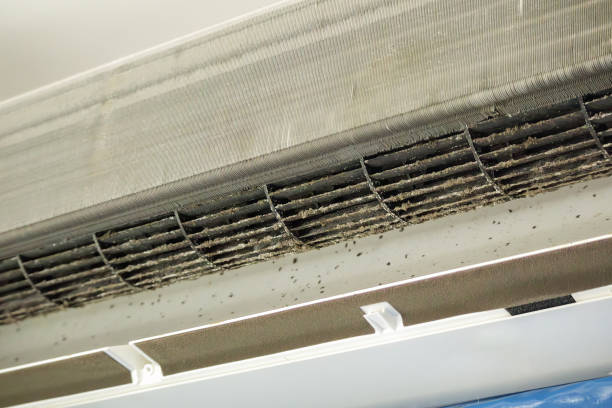 Professional Airduct Cleaning in Silver Firs, WA